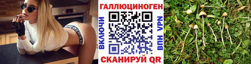 Псилоцибиновые грибы Magic Shrooms  сколько стоит  Стародуб 